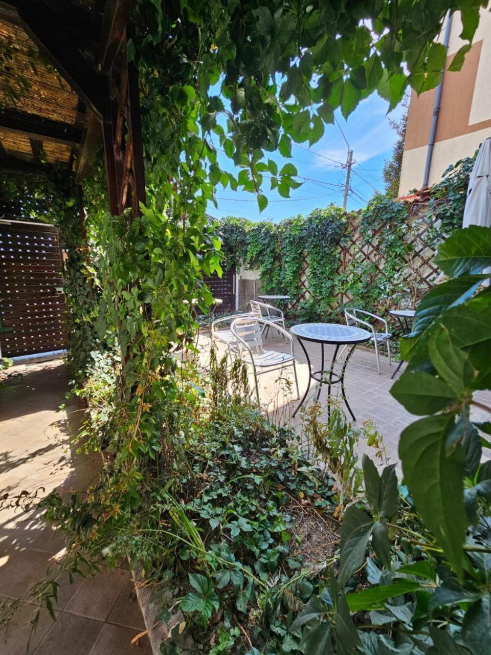 Vila Flavia B&B Констанца Экстерьер фото